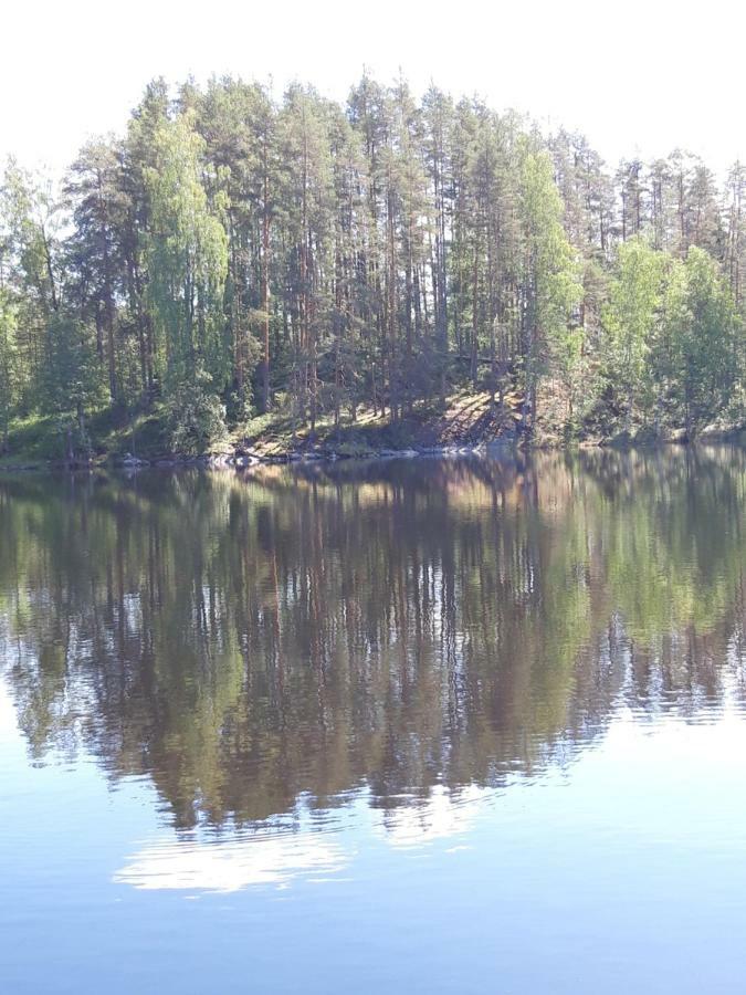 Mini-Mani Northern House Sorsakoski Экстерьер фото